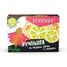 Иттенси эхинацея мед и лимон (БАД) пастилки 2,5г №24 