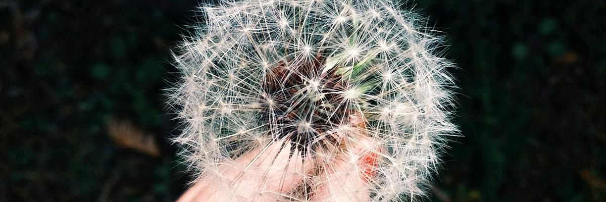 Лучшие таблетки от аллергии