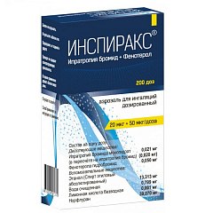  Инспиракс аэроз д/ингал 20мкг+50мкг/доза 200дз N1 