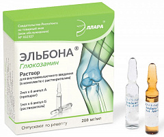  Эльбона р-р д/в/м и в/с 200мг/мл 2мл N6 