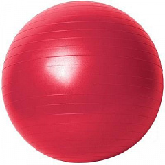  Мяч гимнастический (с насосом) 65см N1 
